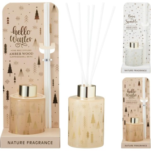 DIFFUSORE VETRO 100ML 6X9CM 2A